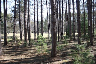 ON Pine Grove Cr Unit 166-167, Minocqua, WI 54548