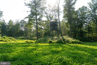 0 Great Cove Rd, Burnt Cabins, PA 17215