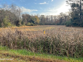 0 N Carolina 55, Grantsboro, NC 28529