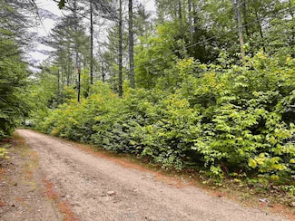 00 Tall Woods Loop, Bartlett, NH 03812