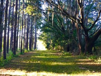 0 Freeman Rd Unit 299112, Lamont, FL 32336