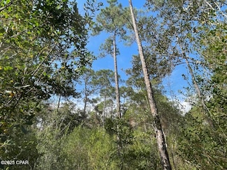 0003 Lavon Rd, Milton, FL 32583