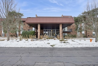 1041 W Ogden Ave Unit 320, Naperville, IL 60563