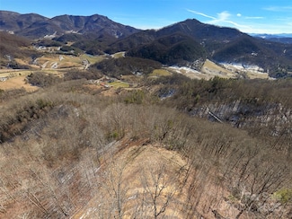 00000 Salt Rock Rd, Clyde, NC 28721