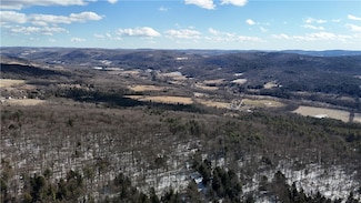 0 Patent Line Rd Unit R1591298, Sidney, NY 13775