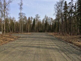 C10 S Forrest Rd, Talkeetna, AK 99676