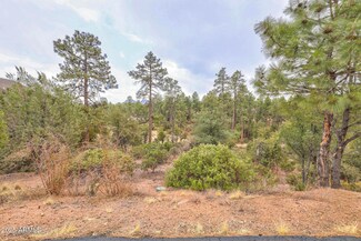 505 N Grapevine Dr Unit 434, Payson, AZ 85541