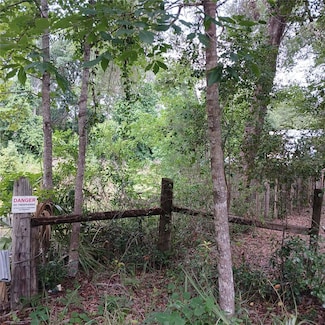 17151 NE 4 St, Silver Springs, FL 34488