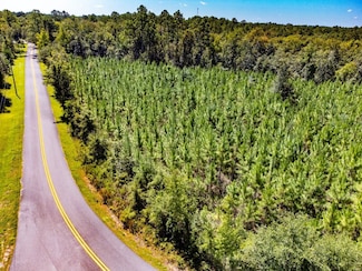 XX1 Kever Rd, Hosford, FL 32334
