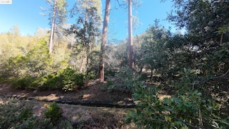 22443 Broken Bough Ln, Twain Harte, CA 95383