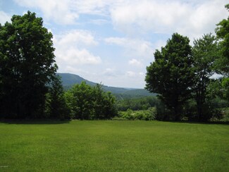 1290 Fairman Rd, Muncy Valley, PA 17758