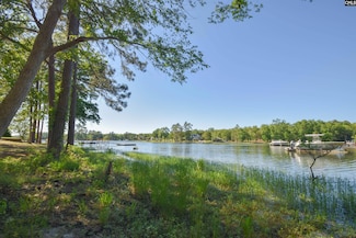 108 Killian Point Cir, Chapin, SC 29036