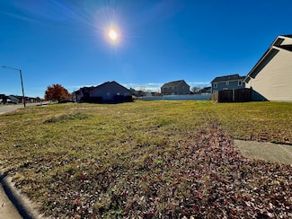 1070 Farmstone Dr, Diamond, IL 60416