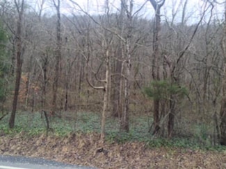00 Highway 610 West Map# 039-00-00-016 04 Unit Hill, Jonancy, KY 41538
