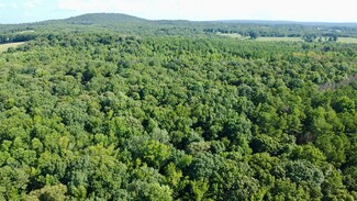 621 Rance Foster Rd, Bowdon, GA 30108