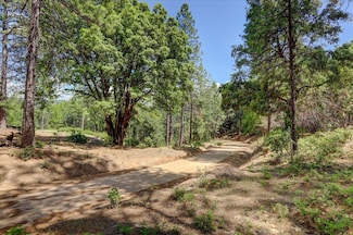 16890 Red Dog Rd, Nevada City, CA 95959