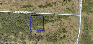 1520 Petunia St SW, Palm Bay, FL 32908
