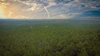 598 Pine Hills Rd, Broken Bow, OK 74728