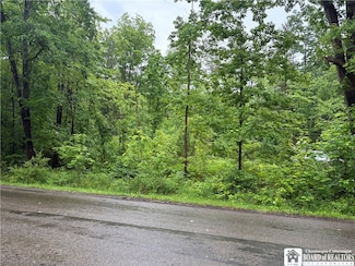 0 Scott Rd, Frewsburg, NY 14738
