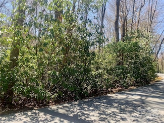 TBD Indian Lake Rd Unit 20, Lake Toxaway, NC 28747