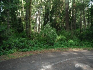 10525 105th Avenue Ct, Anderson Island, WA 98303