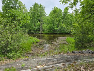 6143 Cedar Trace, Canadian Lakes, MI 49346