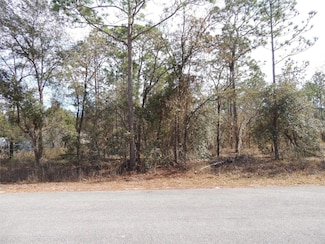 00 SE 126th Terrace, Dunnellon, FL 34431
