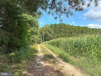 0 Davis Lowground Road (Tract Big Juniper-2) Unit VALB2000052, Keysville, VA 23947
