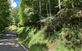 OO Monticello -Lt2965, Ellijay, GA 30540