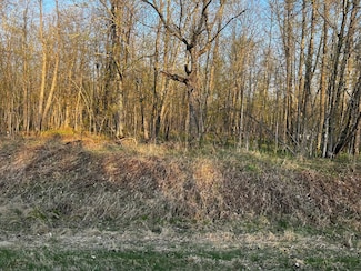 184th 184th St, Shamrock Township, MN 55760