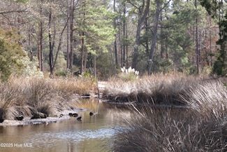 140 Wildwood Dr, Oriental, NC 28571