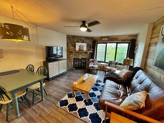 862 Silver Creek Ln #5410, Snowshoe, WV 26209