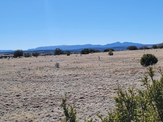 115 Brazos Loop, Estancia, NM 87016