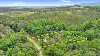 lot 205r Pinnacle Dr, Ellijay, GA 30540