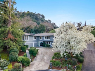 115 Bando Ct, Alamo, CA 94507