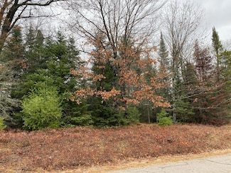 ON Moens Lake Dr, Rhinelander, WI 54501