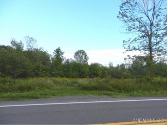 0 Route 167surveylot 7 Paines Hollow Rd Unit 1603793, Little Falls, NY 13365