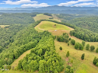 000 Strong Hollow Ln, Fort Blackmore, VA 24250