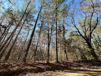 LOT 7 Saggus Rd, Washington, GA 30673