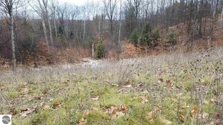 0 N Blue Water Ct Unit multi 1827611, Suttons Bay, MI 49682