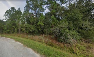 1441 Tern Ct, Poinciana, FL 34759