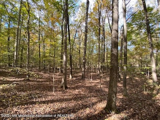 16 Sandy Ridge, Byhalia, MS 38611