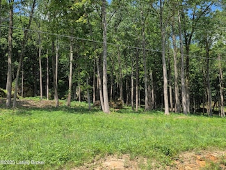 3 Cave Creek Rd, Falls of Rough, KY 40119