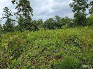 S 50 West St, Cass Township, IN 47532