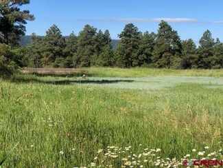 254 Park Ave, Pagosa Springs, CO 81147