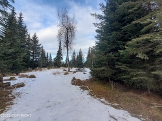 17617 Kimeluk St, Ninilchik, AK 99639