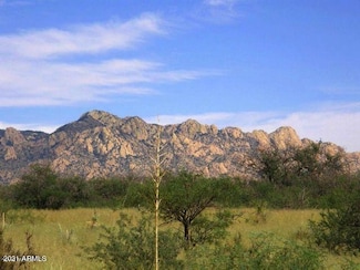 M167 N Fox Hollow Lot 167 Ln Unit 167, Saint David, AZ 85630