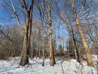 0 S Ridge Rd E Unit 5176296, Geneva, OH 44041