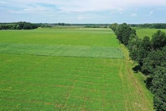 Tbd 115th Ave, Eagle Bend, MN 56446