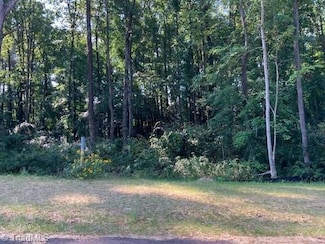 7509 Whisper Hollow Ln, Lewisville, NC 27023